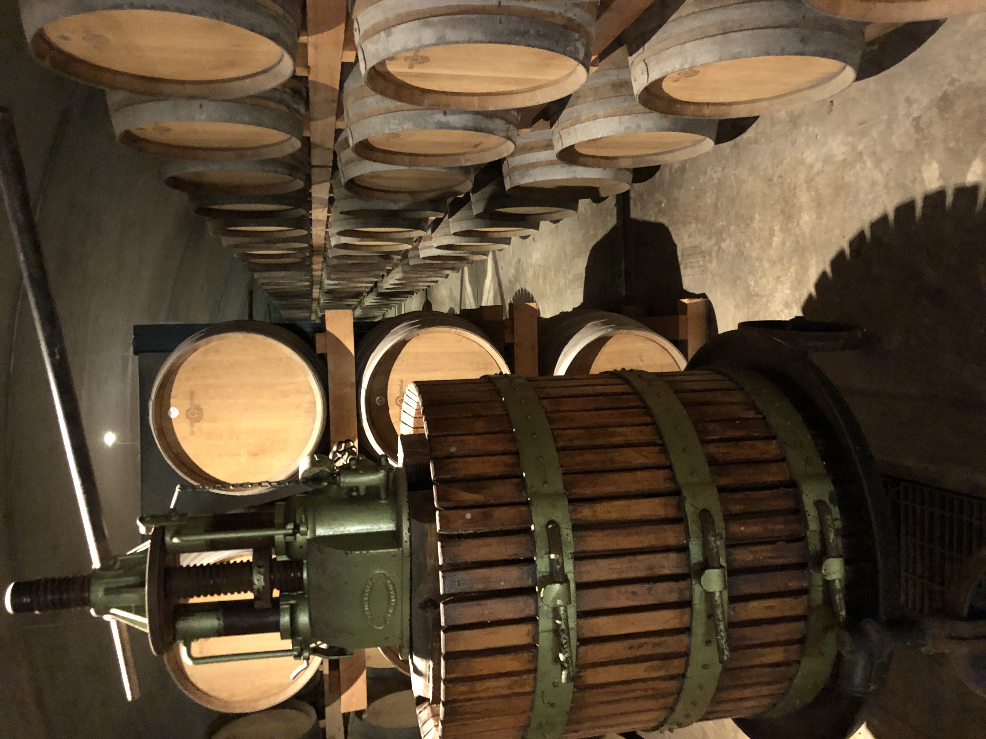 Rotwein
